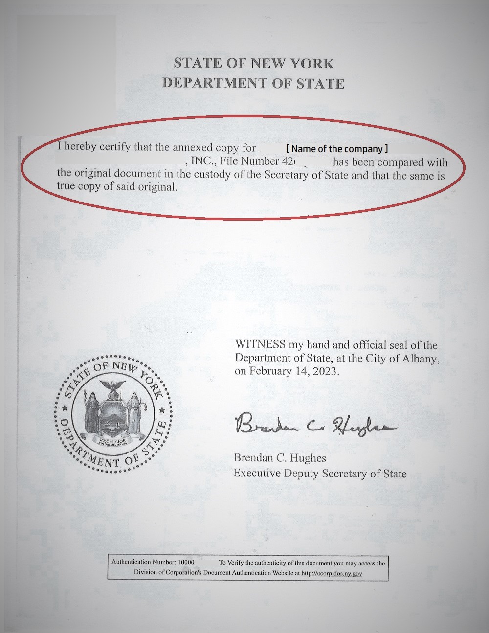 new york articles of incorporation 2023 1
